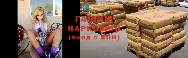 индика Богданович